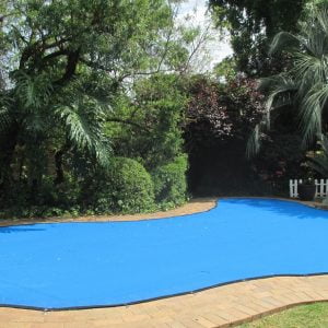 Life Guard ® Leaf-catcher